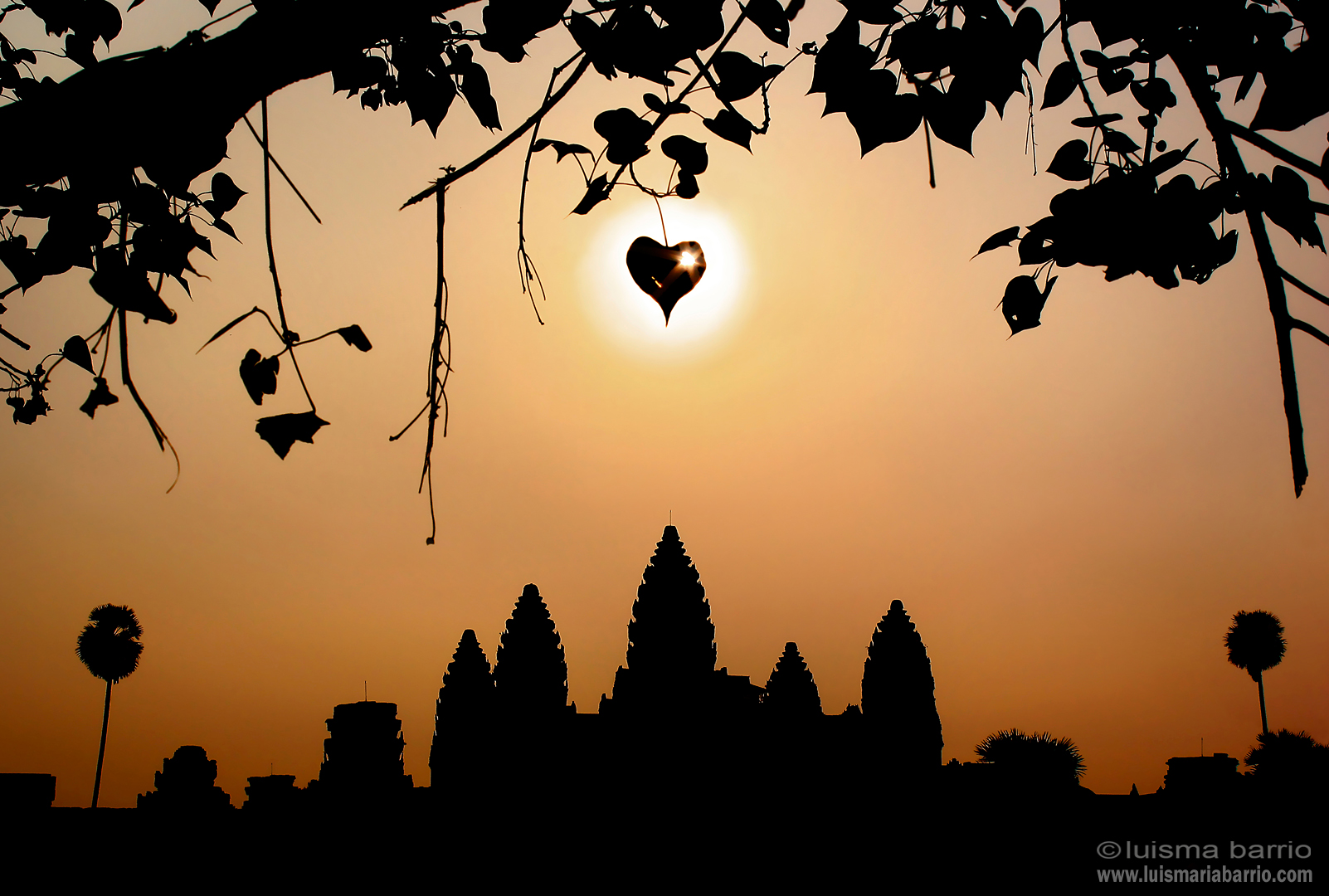 angkor wat  temple cambodia