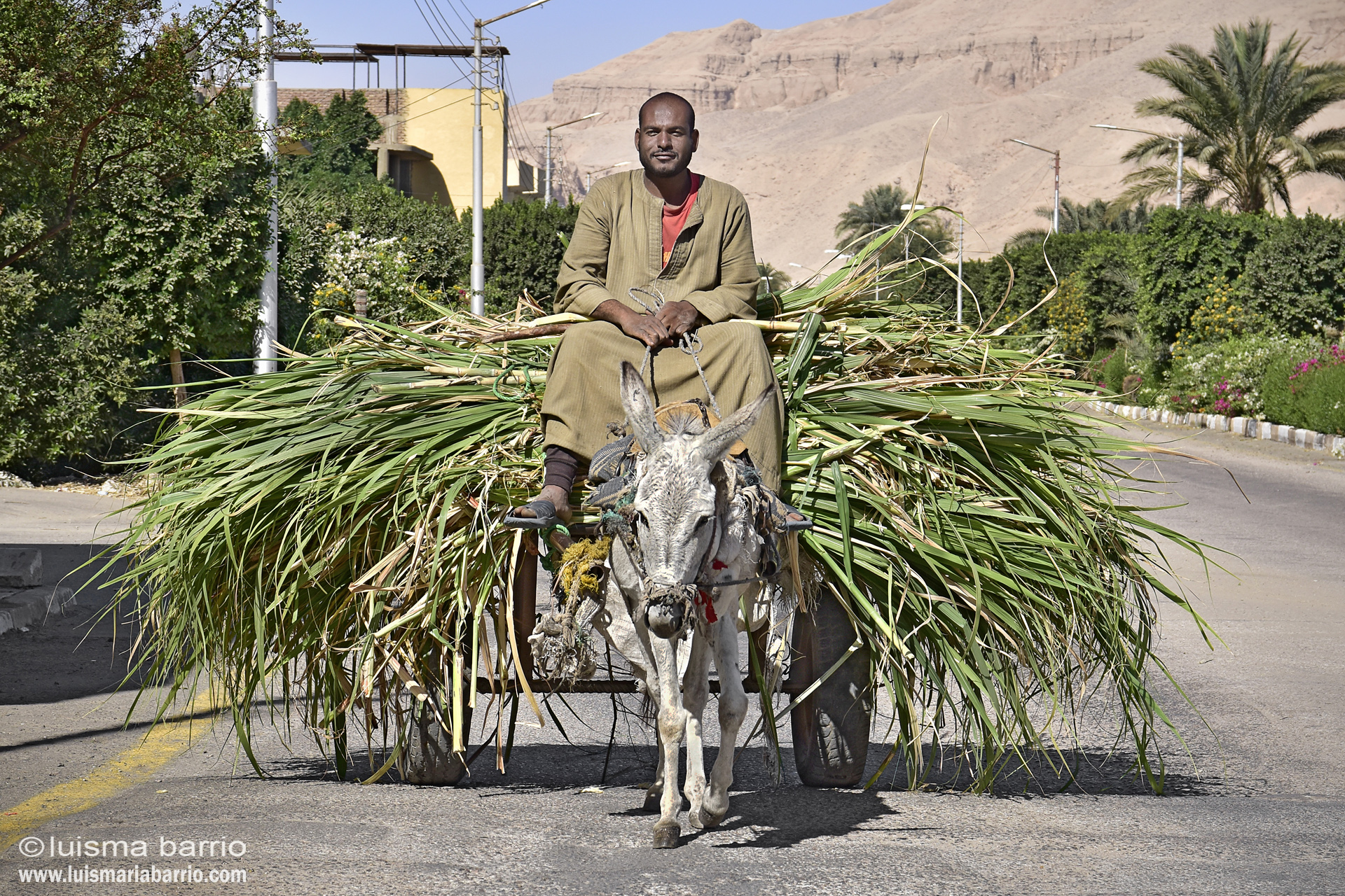 traditional life egypt
