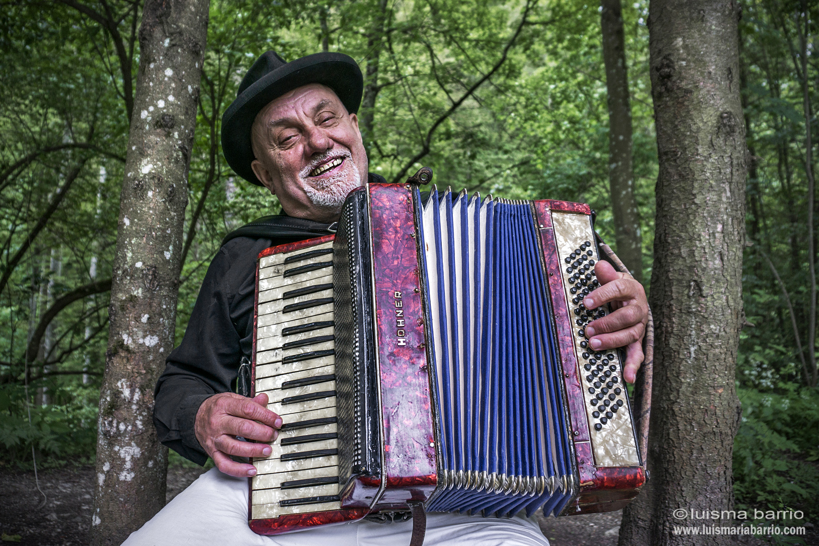 accordionist accordion romania