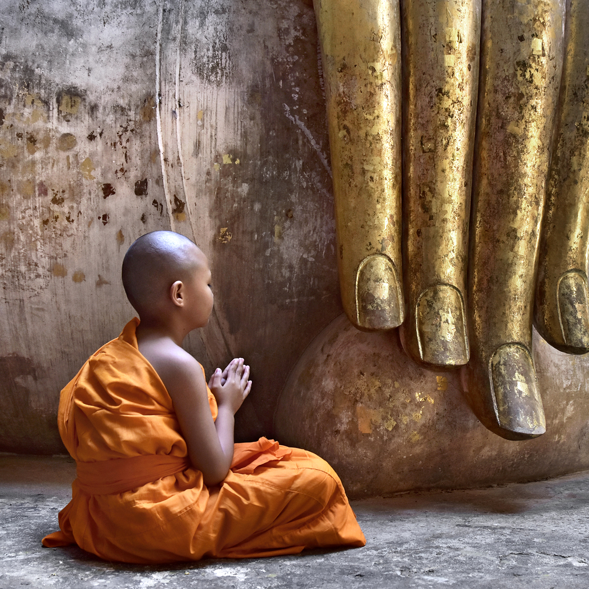 Thailand (19 photos)