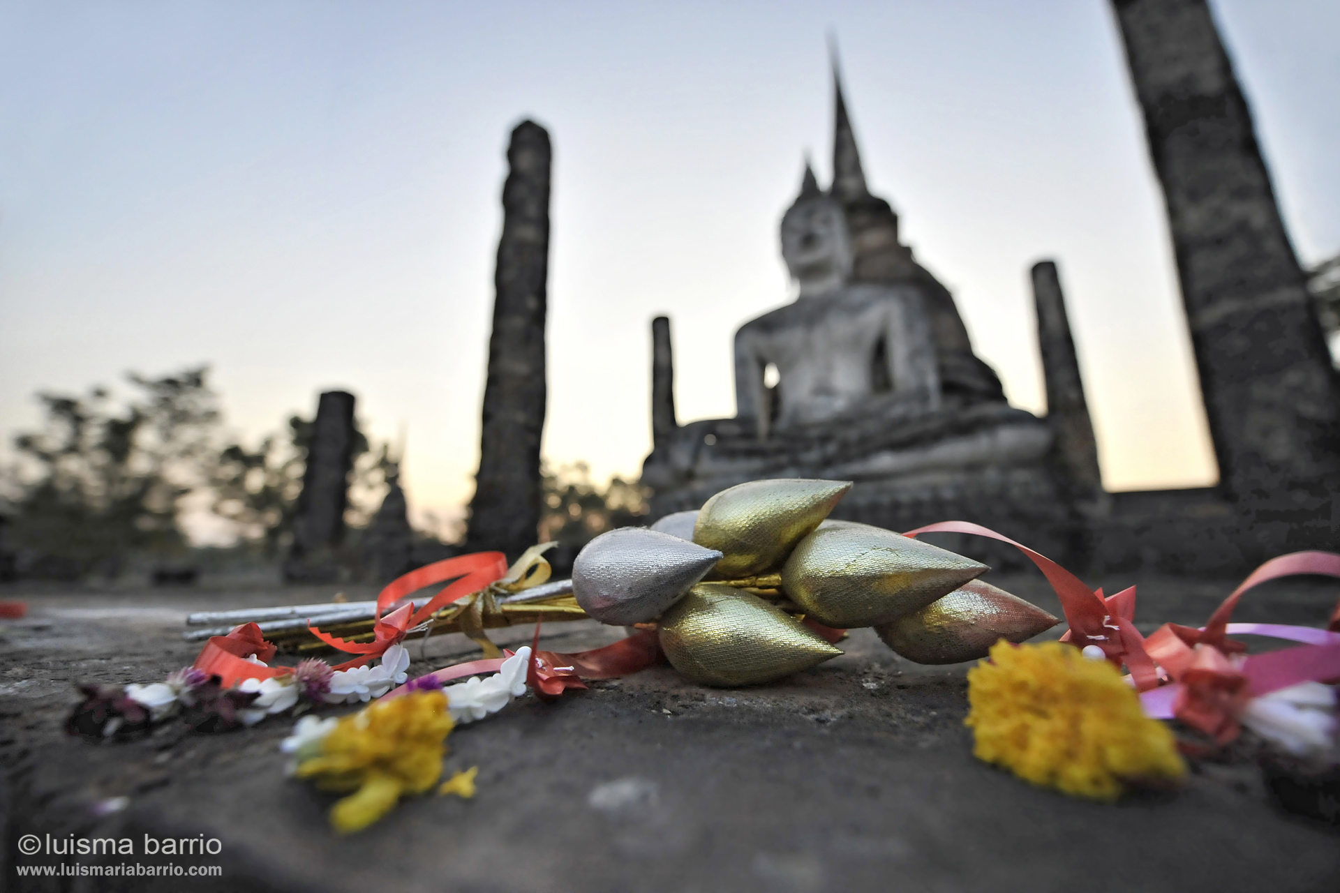 offering to buddha