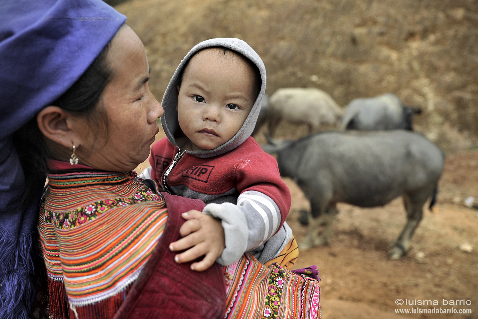 hmong woman vietnam mother