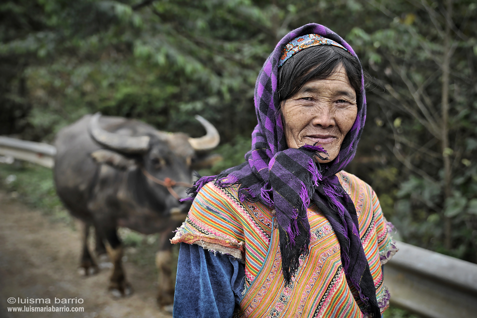 hmong woman vietnam buffalo