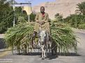 traditional life egypt