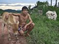 man laos cow