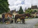 romania