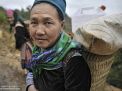hmong woman vietnam
