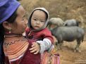 hmong woman vietnam mother