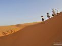women desert vietnam