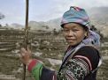 hmong woman vietnam