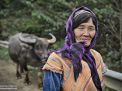 hmong woman vietnam buffalo