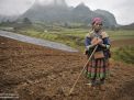vietnam mountains farmer